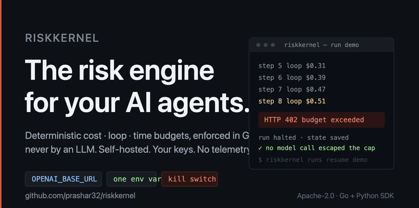RiskKernel Preview